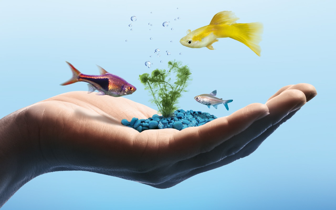 aquascience-0keyvisual